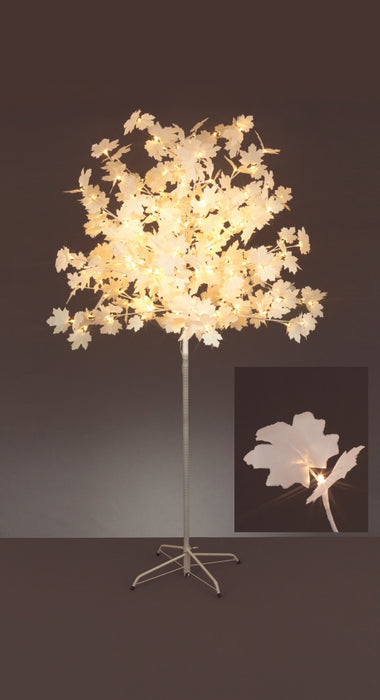 Premier Maple Leaf Tree