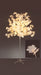 Premier Maple Leaf Tree