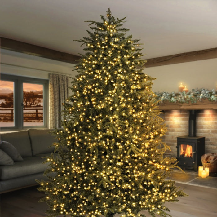 Multi Action Treebrights With Timer