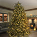 Multi Action Treebrights With Timer