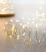 Premier 40 LED Indoor Ultrabrights With Timer