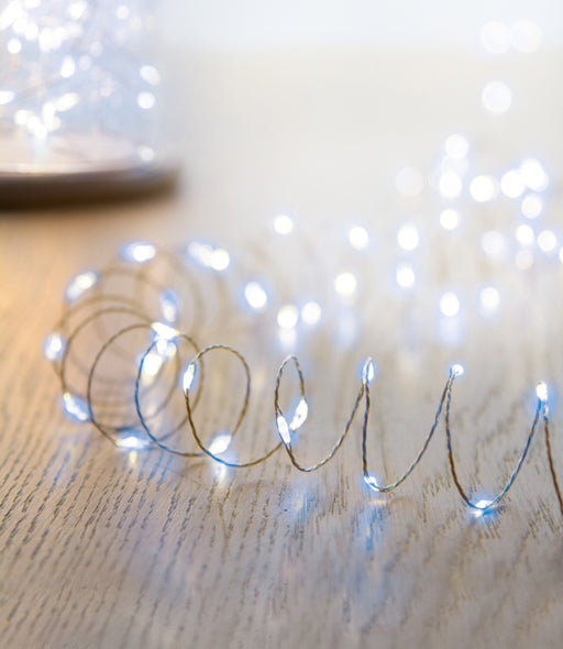 Premier 40 LED Indoor Ultrabrights With Timer