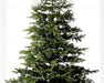 Kaemingk 750 LED Diamond Compact Twinkle Lights