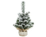 Kaemingk Imperial Mini Snowy Tree