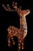 Premier 200 LED Reindeer Full Colour Twinkling