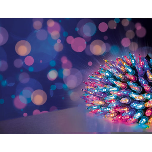 Premier Multi Action Fairy Cap Light String