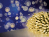 Premier Multi Action Fairy Cap Light String