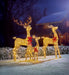 Premier Set Of 3 Lit Gold Glitter Fabric Deer