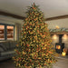 Premier 750 LED Multi Action Treebrights