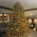 Premier 1000 LED Multi Action Treebrights